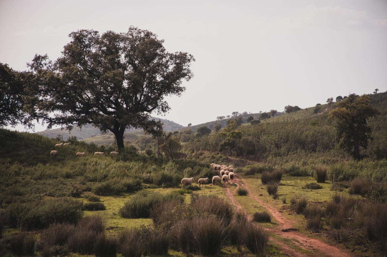 Quinta Do Freixo Villa Benafim Bagian luar foto