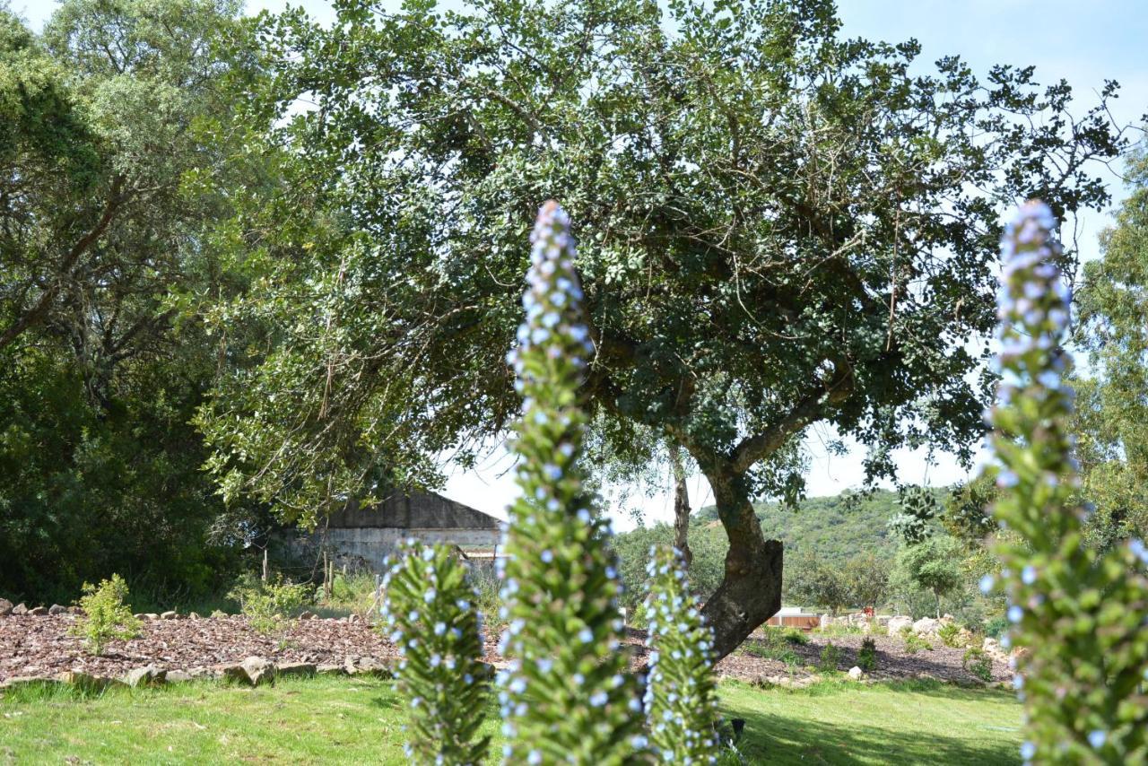 Quinta Do Freixo Villa Benafim Bagian luar foto