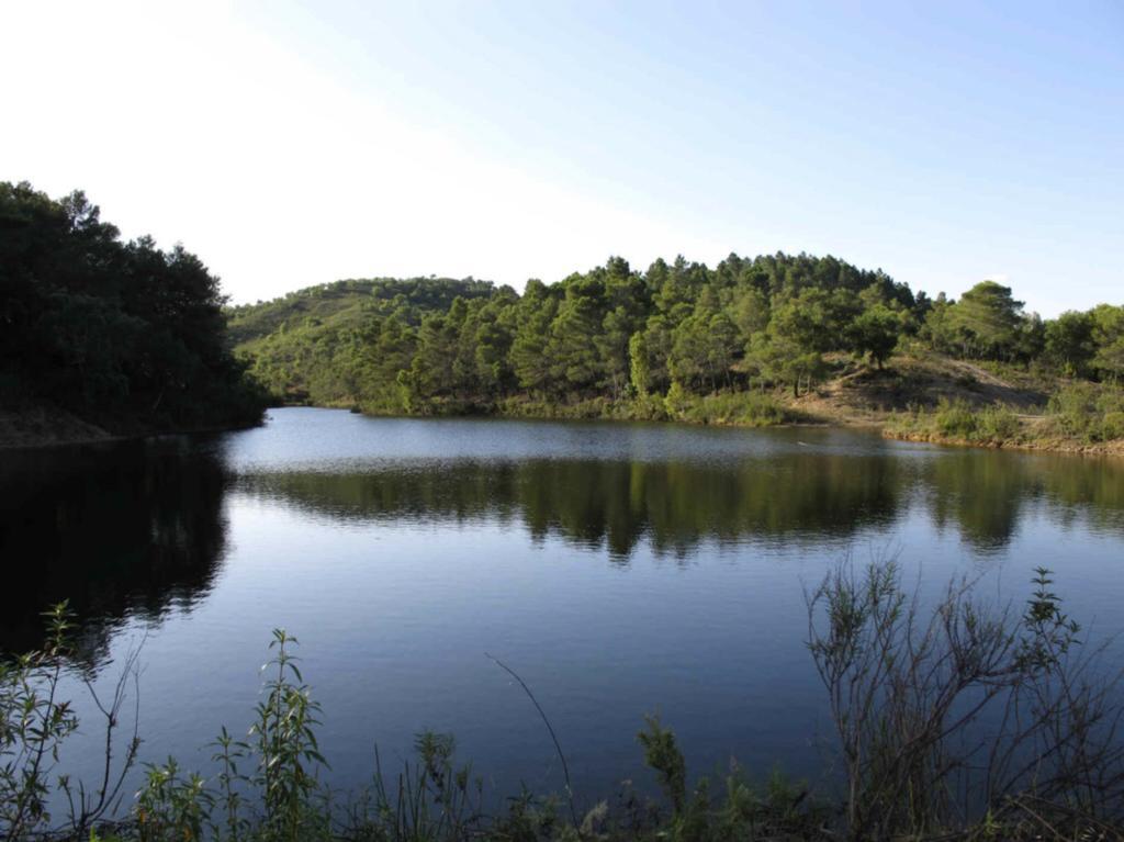 Quinta Do Freixo Villa Benafim Bagian luar foto
